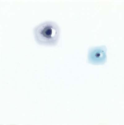 ELIN (STUTZPUNKT WIEN 12) - UFO Beobachtungen | CD
