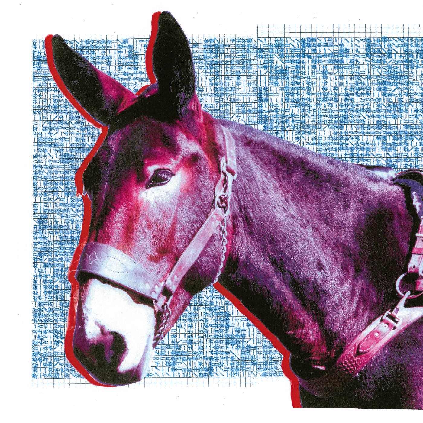 Protomartyr - Ultimate Success Today | CD
