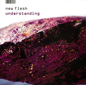 New Flesh - Understanding | CD