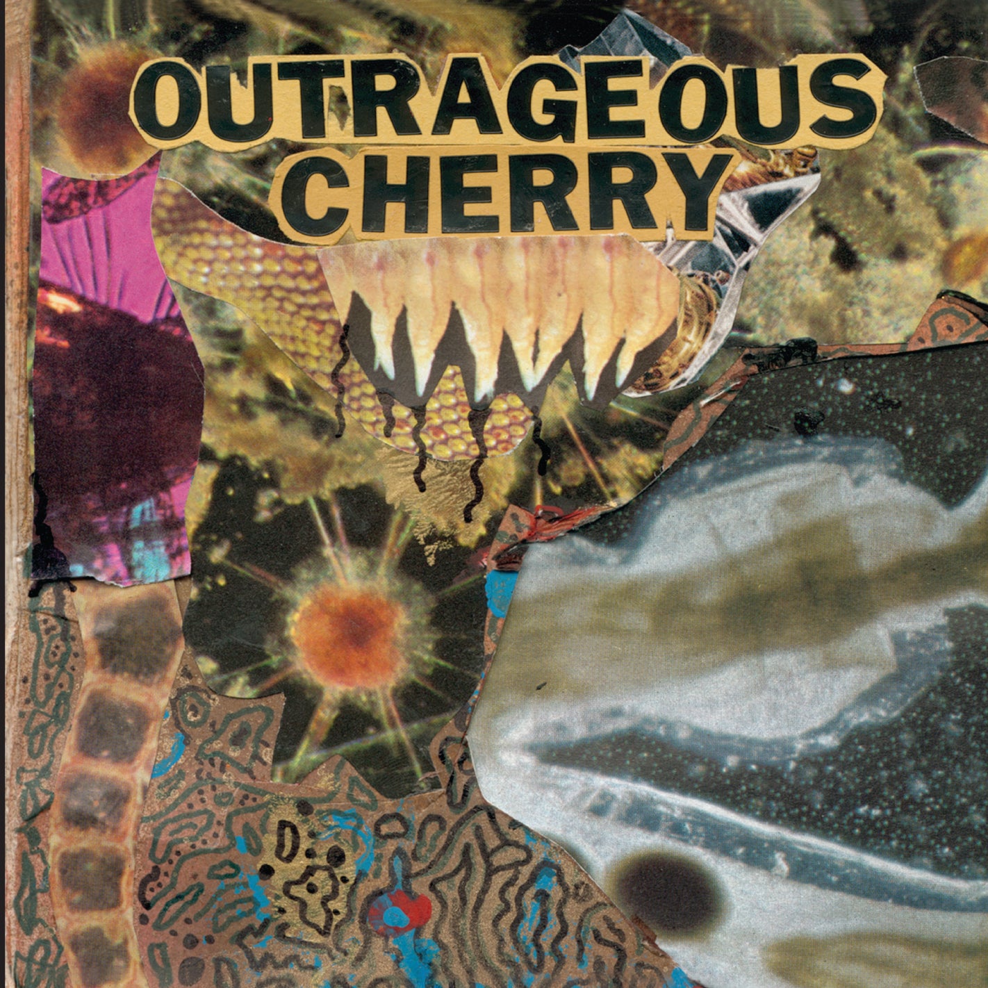 Outrageous Cherry - Universal Malcontents | CD