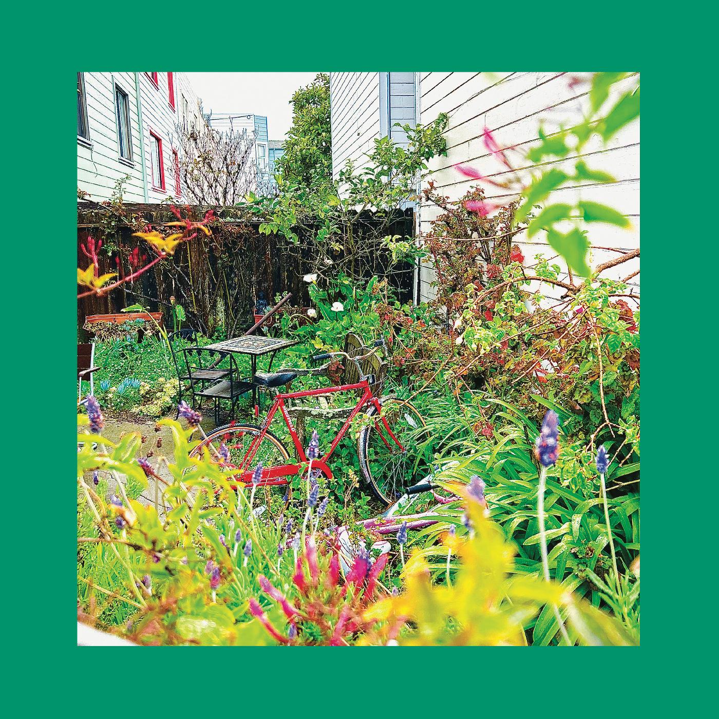 Pinks & Purples Reds | Unwishing Well (NASTURTIUM ORANGE VINYL) | Vinyl