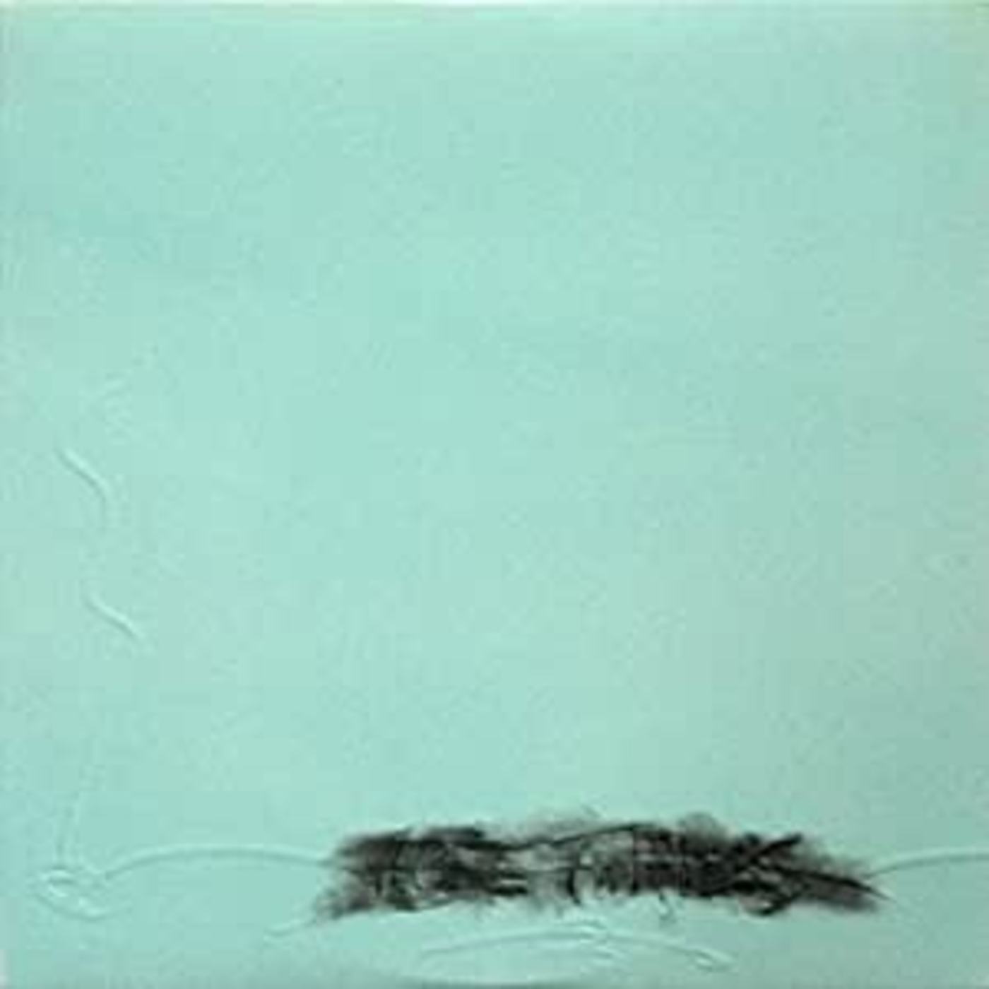 U.S. Maple - Acre Thrills | Vinyl