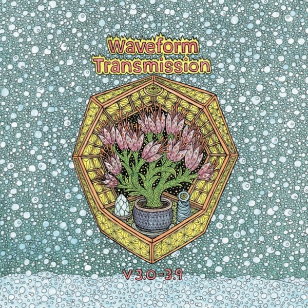WAVEFORM TRANSMISSION - V 3.0-3.9 | Vinyl