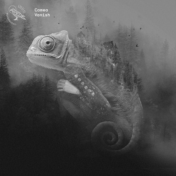 CAMEA - Vanish | Vinyl