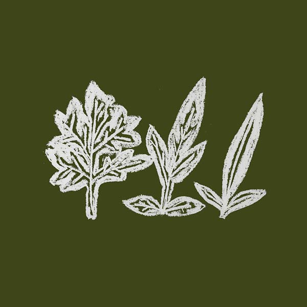 UENO TAKASHI - Variations of Weeds | CD
