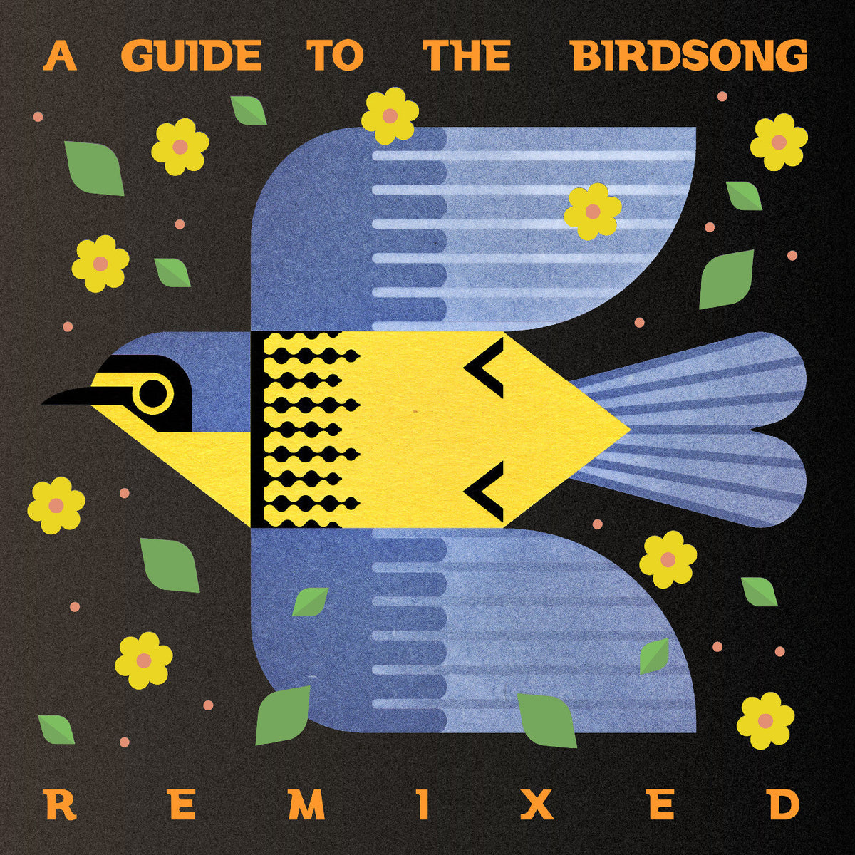 Various Artists - A Guide To The Birdsong Remixed (180G) [2LP] | Vinyl