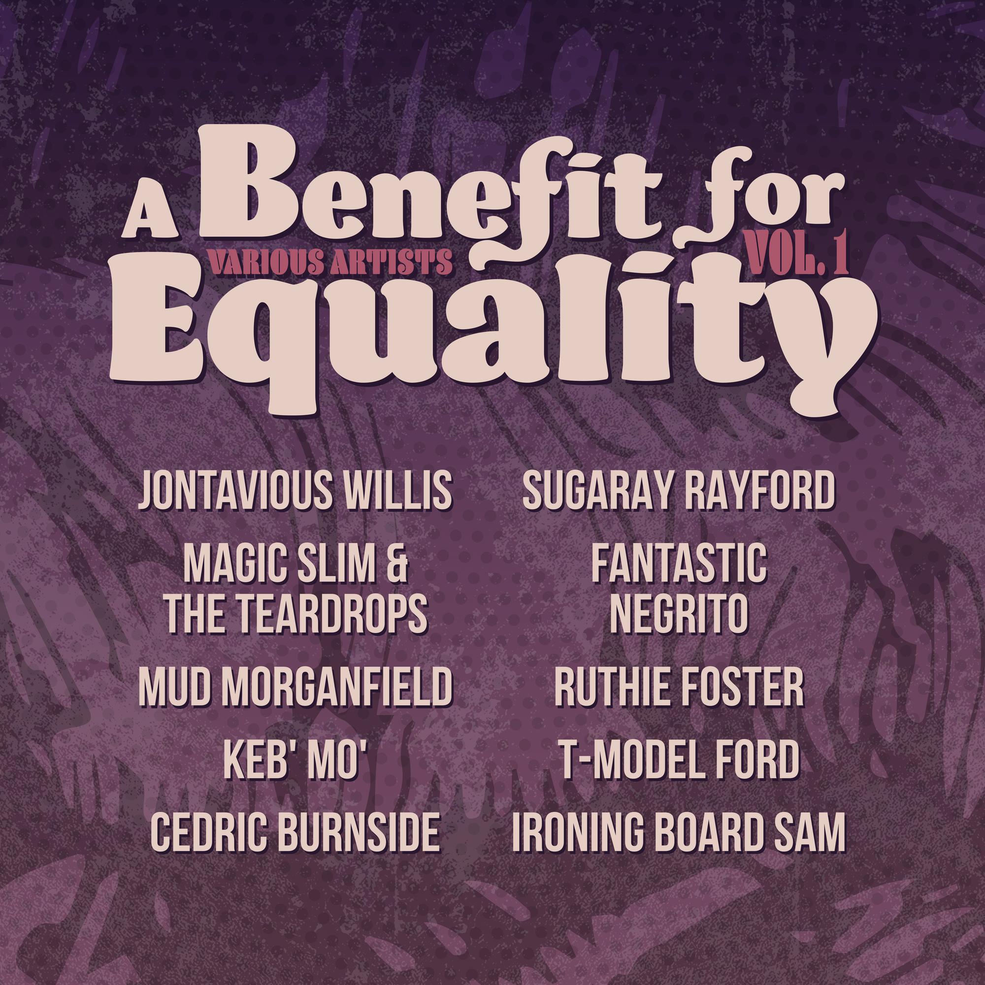 Various Artists - Benefit For Equality 1 (Limited Edition, Indie Exclusive) | Vinyl