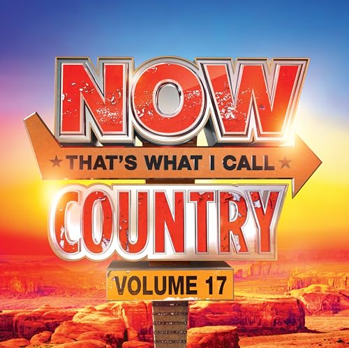 Various Artists - NOW Country 17 | CD