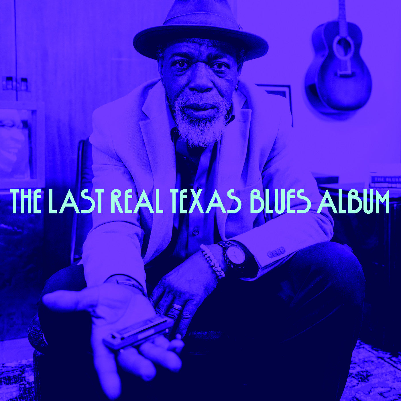 Various Artists | The Last Real Texas Blues Album | Vinyl
