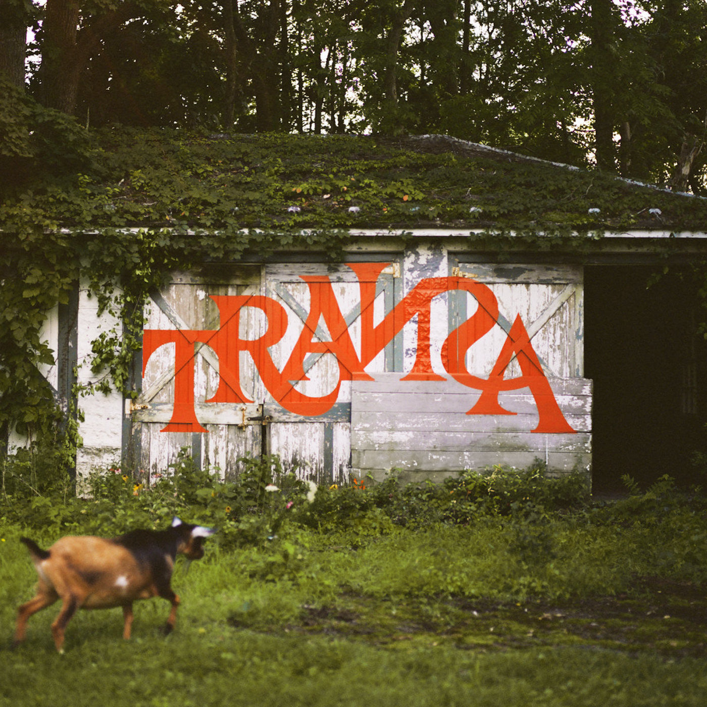 Various Artists | Transa (Deluxe Edition) | Vinyl