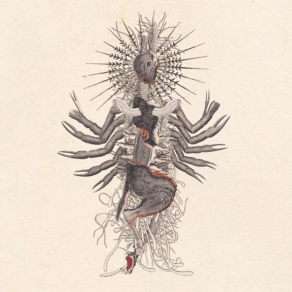 WE WILL FAIL - Verstorung | CD