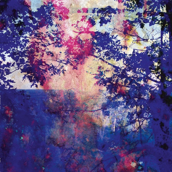 ROLAND BUCHER - Viaje | Vinyl