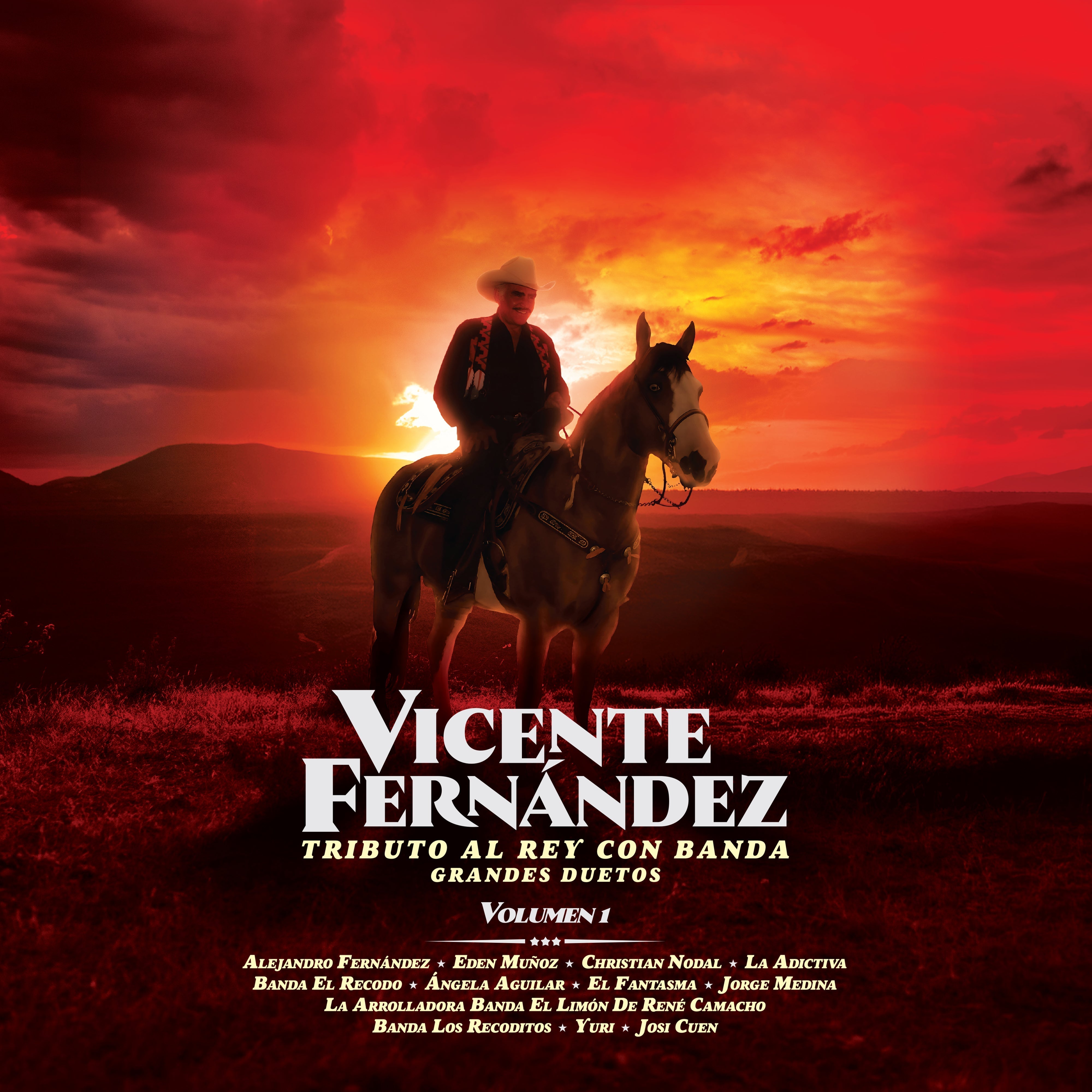 Vicente Fernandez - Tributo Al Rey Con Banda (Grandes Duetos Vol. 1) | Vinyl