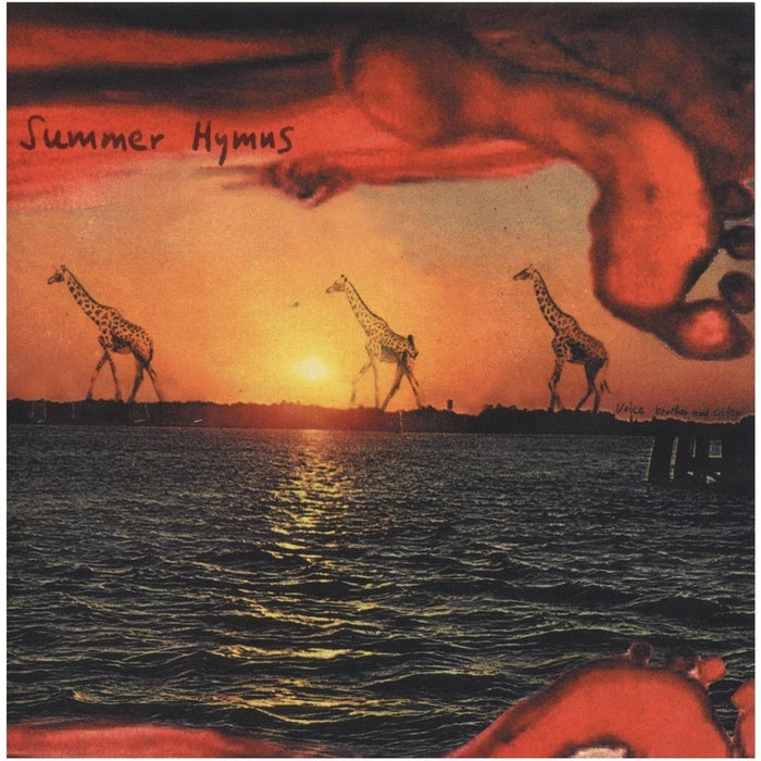 Summer Hymns - Voice Brother & Sister | CD