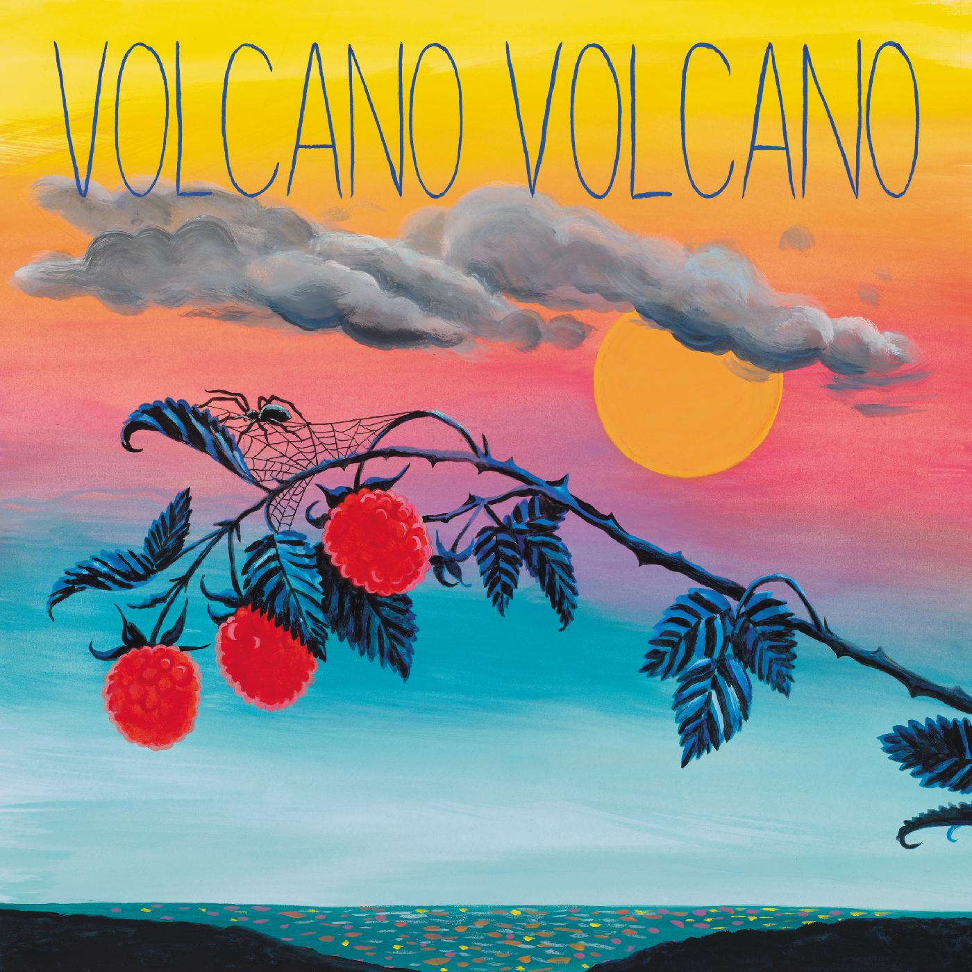 Steven Lambke | Volcano Volcano | Vinyl