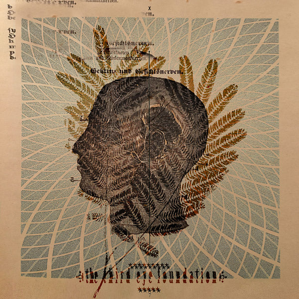 THE THIRD EYE FOUNDATION - Wake The Dead | CD