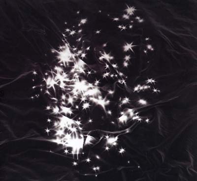 PEALS - Walking Field | Vinyl