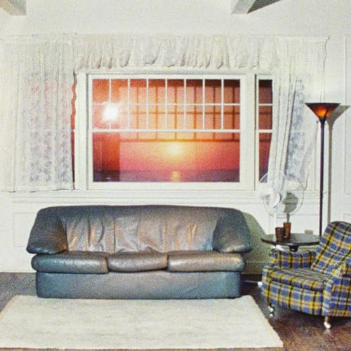 Wallows - Model | Cassette