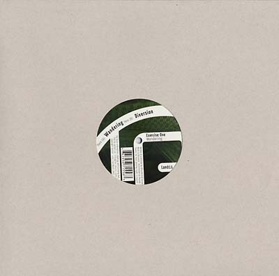 EXERCISE ONE - Wandering | Vinyl