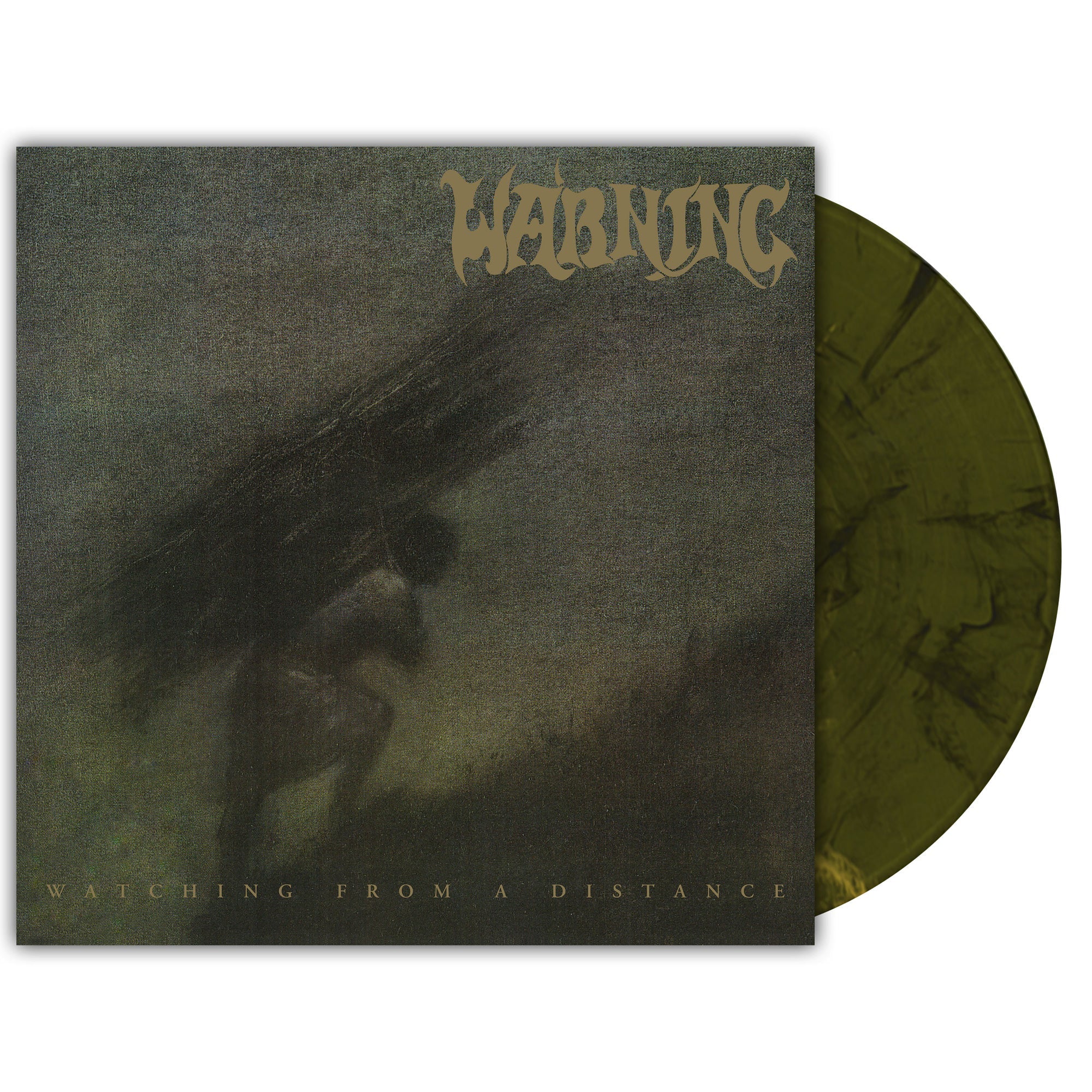 Warning | Watching From A Distance [Labradorite Marble Vinyl] [2LP] | Vinyl
