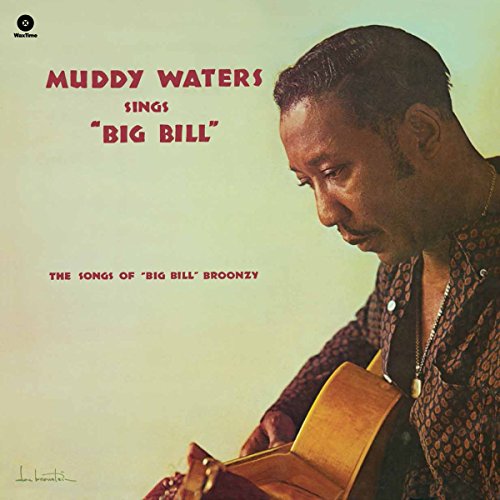 Waters,Muddy - Sings Big Bill Broonzy | Vinyl
