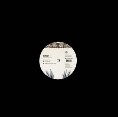 AMBER - Waves of Grain | Vinyl