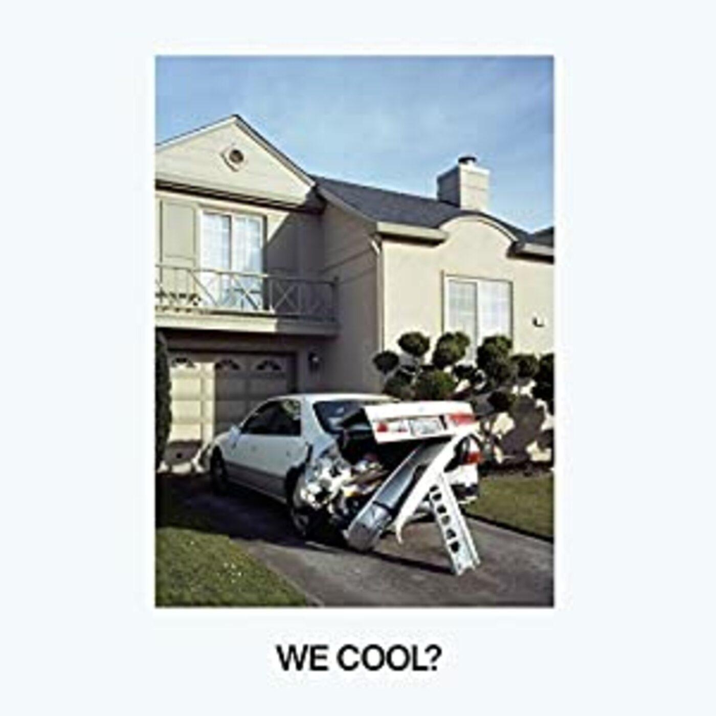 Jeff Rosenstock | We Cool | Vinyl