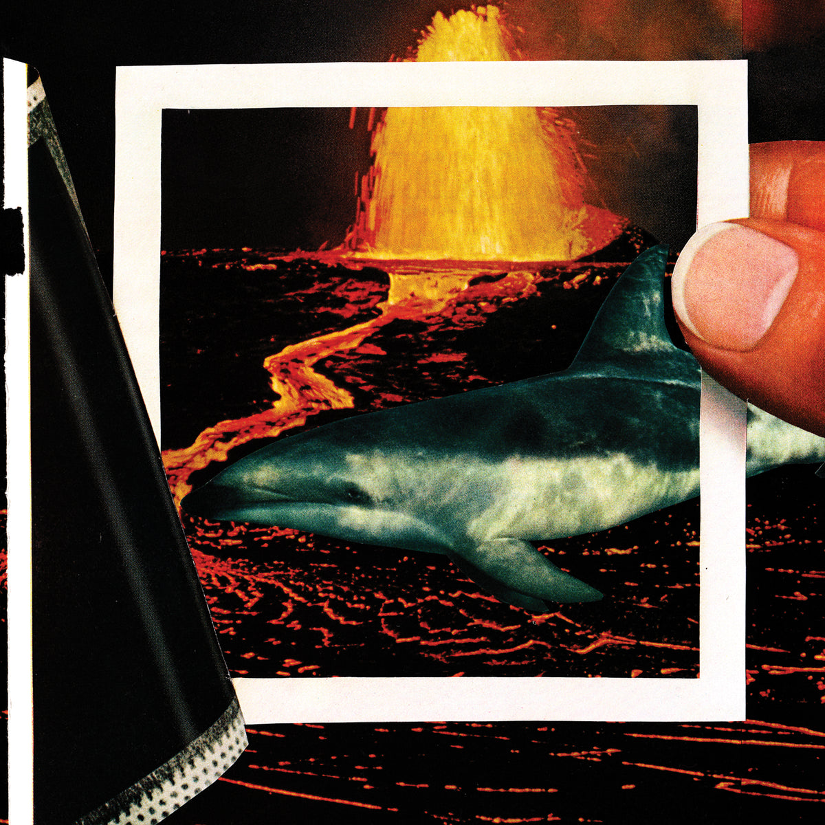 The Thermals - We Disappear | CD
