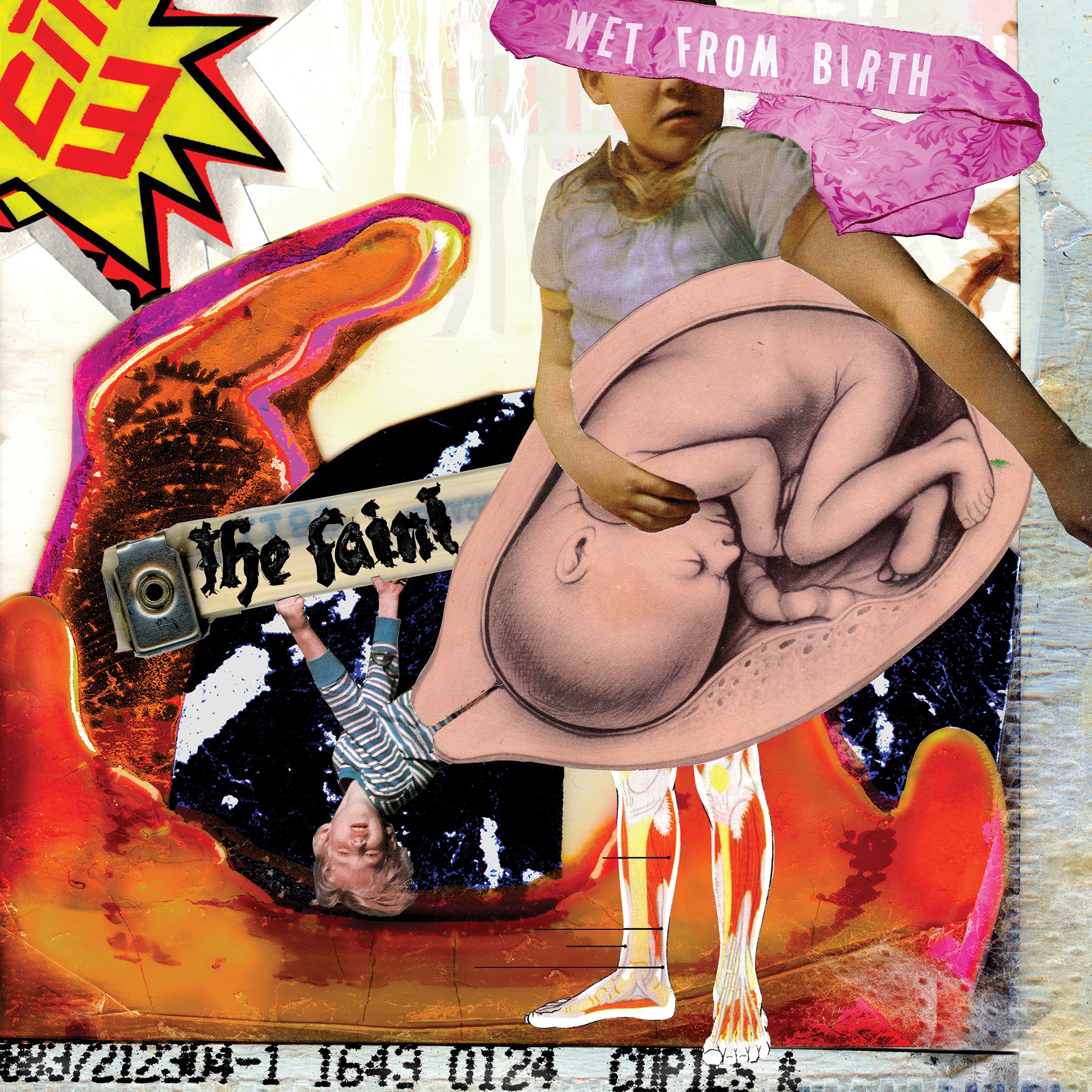 The Faint | Wet From Birth | Vinyl