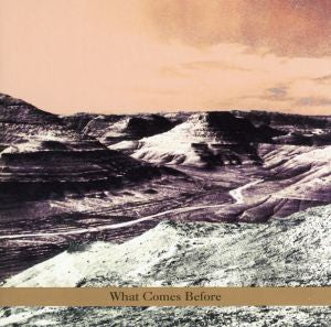 Goldberg / Schott / Sarin Trio - What Comes Before | CD