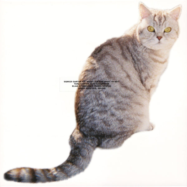 Sarter Kit | What I Am And What I'M Not | Vinyl