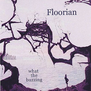 Floorian - What the Buzzing | CD