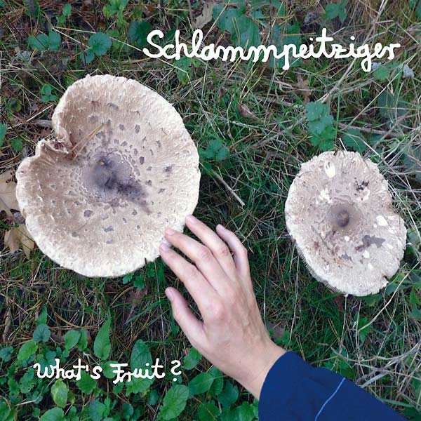 Schlammpeitziger - What'S Fruit? | Vinyl