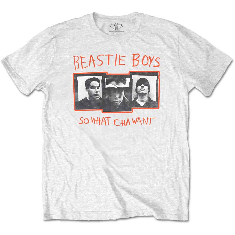 The Beastie Boys | So What Cha Want |