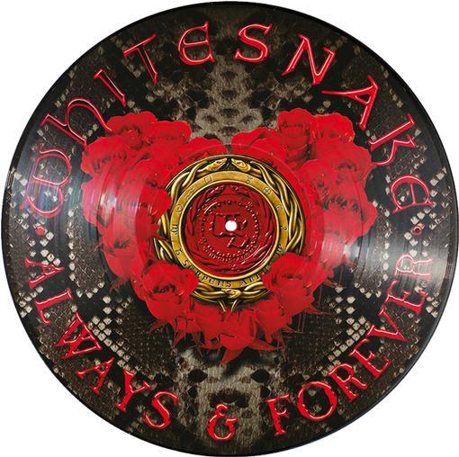 Whitesnake - Always & Forever | Vinyl
