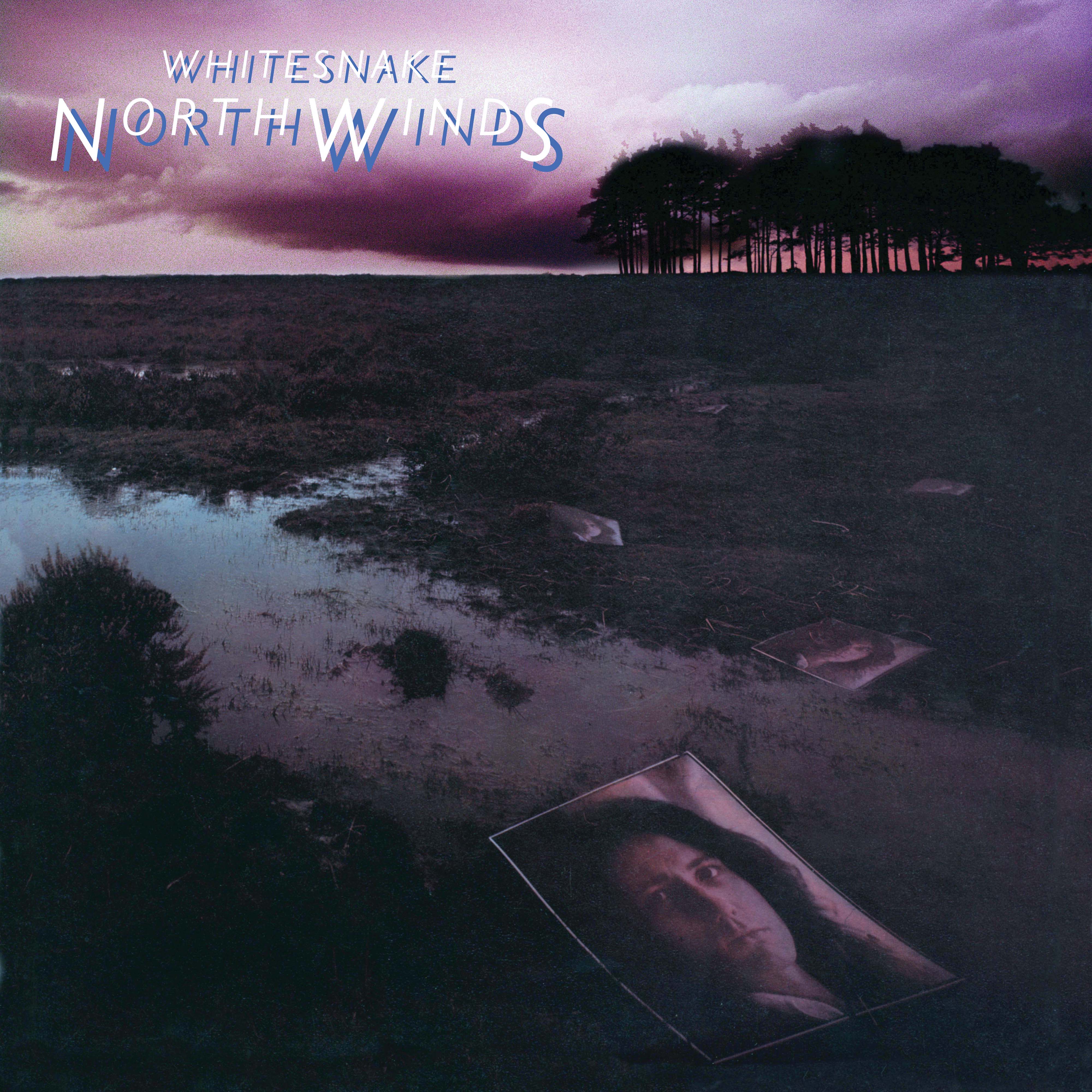 Whitesnake | NorthWinds (RKTBR24) (B&MEX) | Vinyl - 0