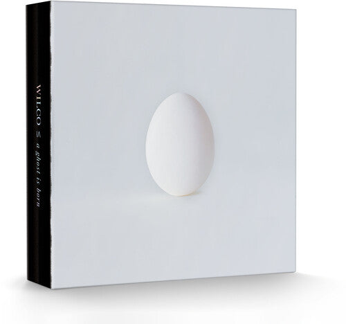 Wilco - A Ghost Is Born (Deluxe Edition, Boxed Set, With CD) ((9 Lp's/ 4 Cd's Box set) | Vinyl