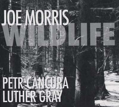 JOE MORRIS - Wildlife | CD