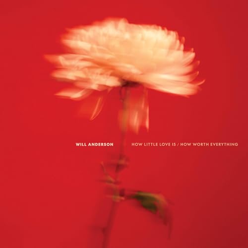 Will Anderson - How Little Love Is / How Worth Everything | Vinyl