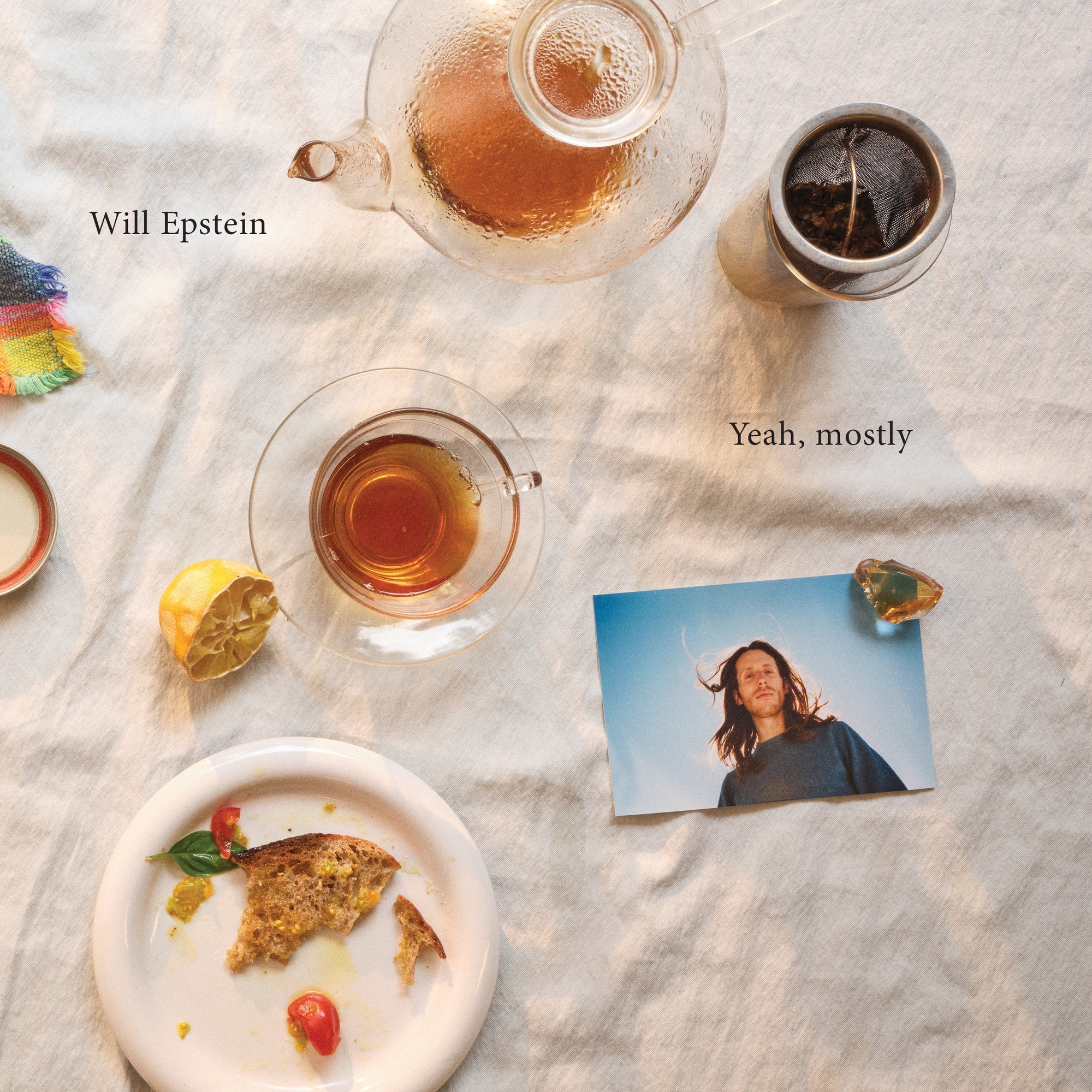 Will Epstein | Yeah Mostly | Vinyl
