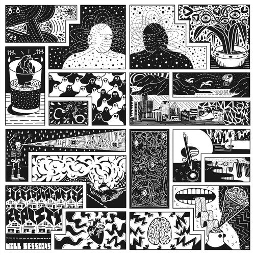 Will Sessions - Electromagnetic Reality | Vinyl