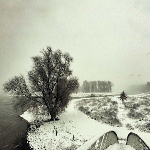 BEEQUEEN - Winter | Vinyl