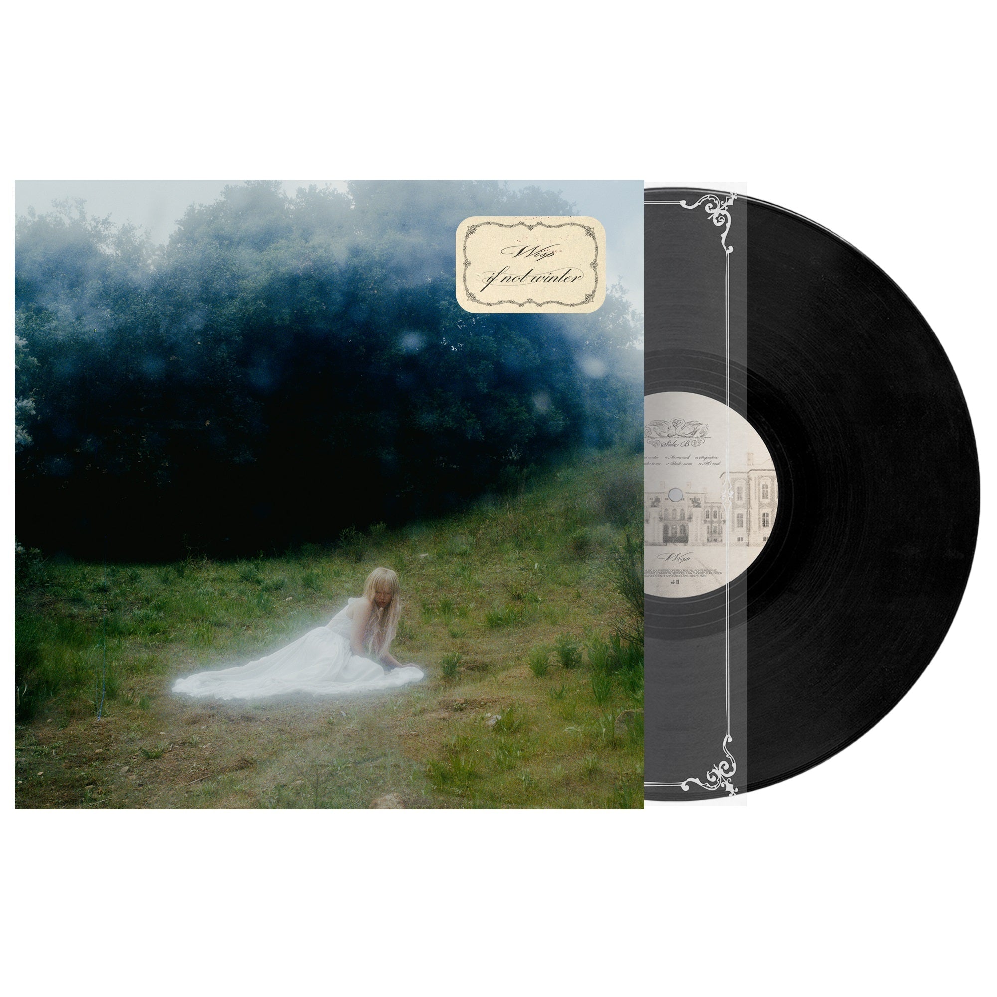 Wisp - If Not Winter [Lp] cutout | Vinyl