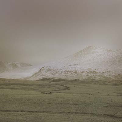 AR - Wolf Notes | Vinyl