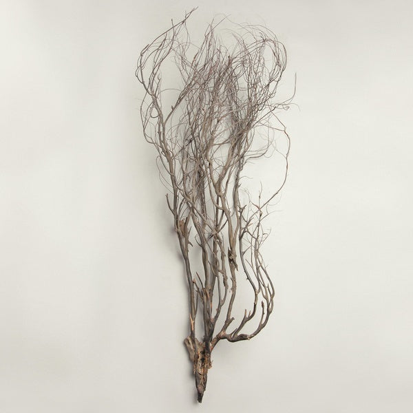 MARY JANE LEACH - Woodwind Multiples | Vinyl