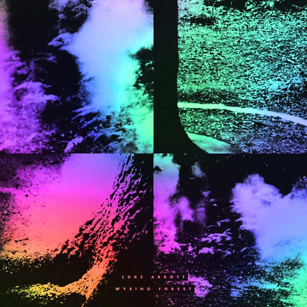 LUKE ABBOTT - Wysing Forest | CD