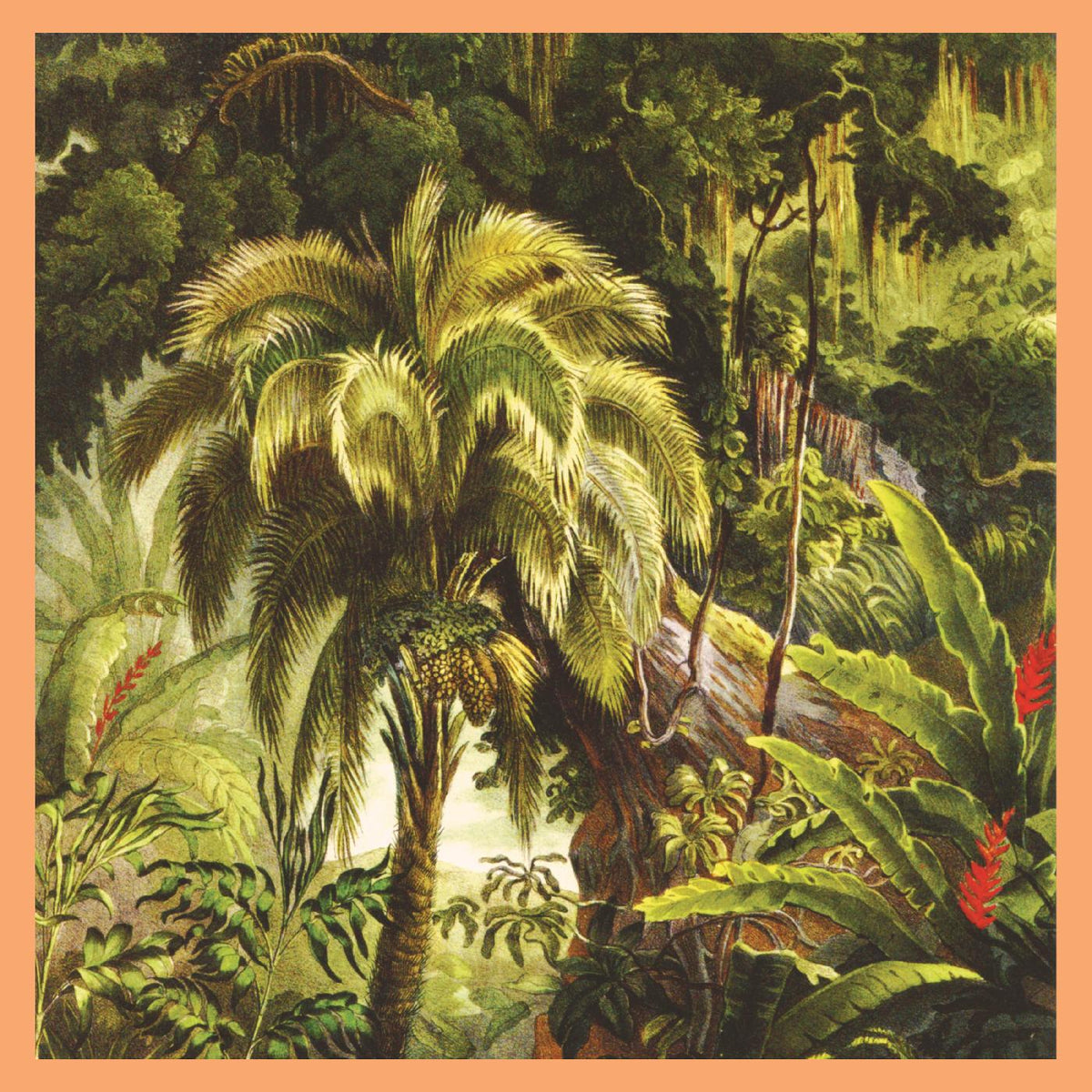 Xiu Xiu - La Foret [Jade Eco-Mix Vinyl] | Vinyl