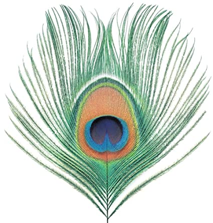 XTC - Apple Venus Vol. 1 (200 Gram Vinyl) [Import] | Vinyl