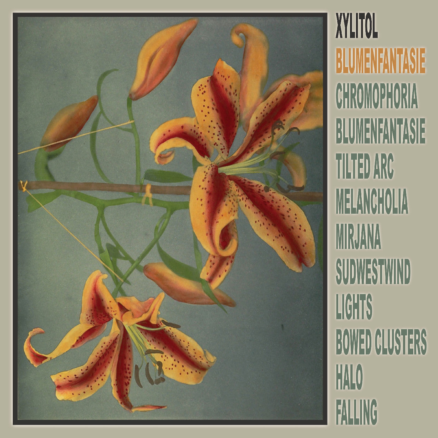 Xylitol | Blumenfantasie | Vinyl