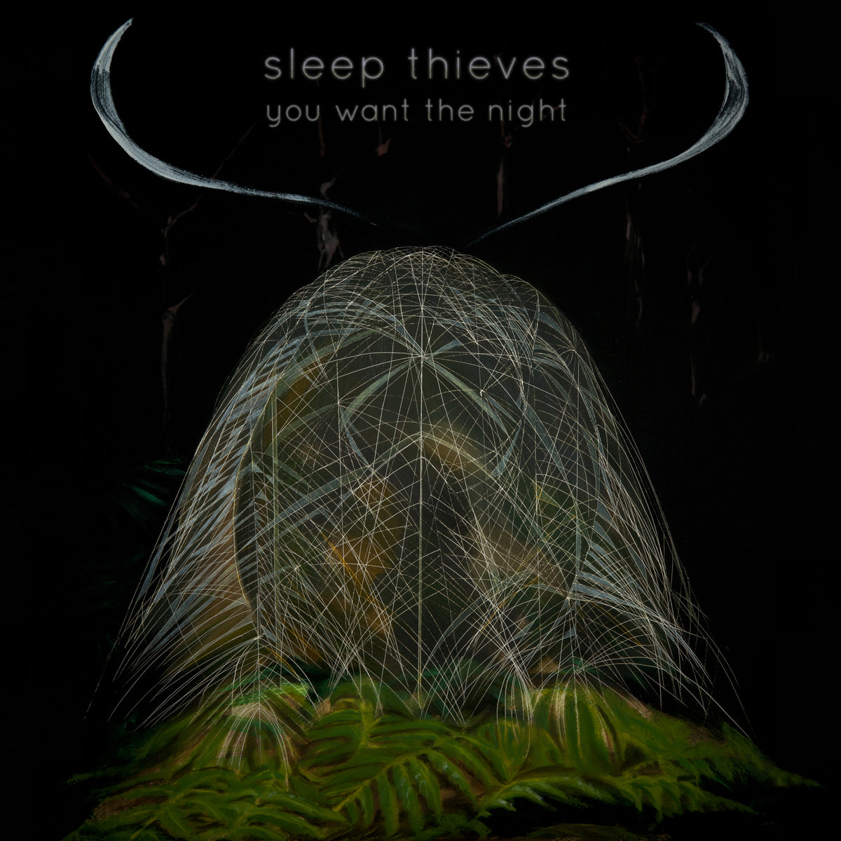 Sleep Thieves - You Want The Night | Vinyl